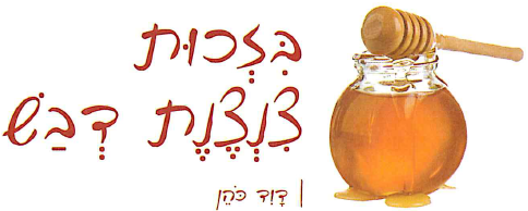 (בספר ציור:) דוד רקיע, עץ החיים, 2001